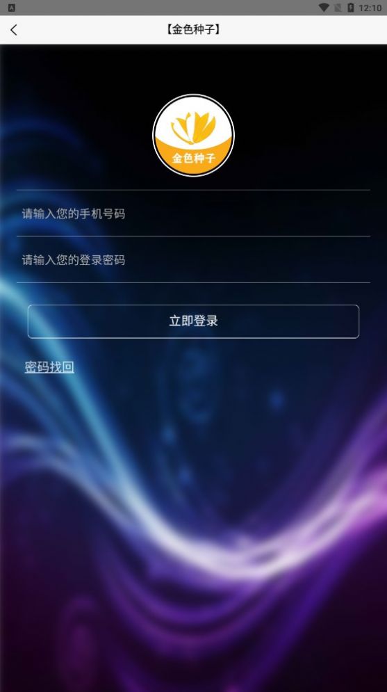 金色稻谷2023