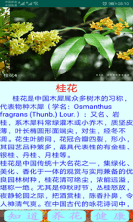 绿植花卉app