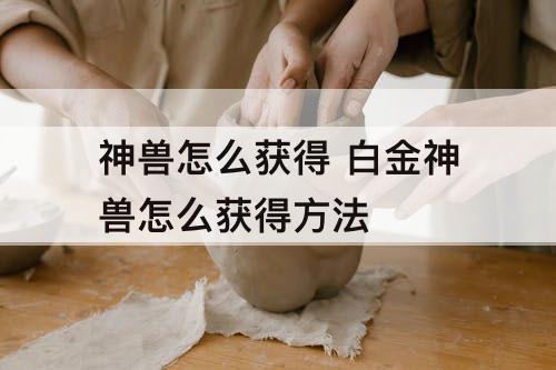 神兽怎么获得 白金神兽怎么获得方法