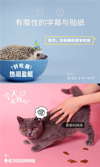 猫饼破解版安卓版不需登录  v2.0.0图1