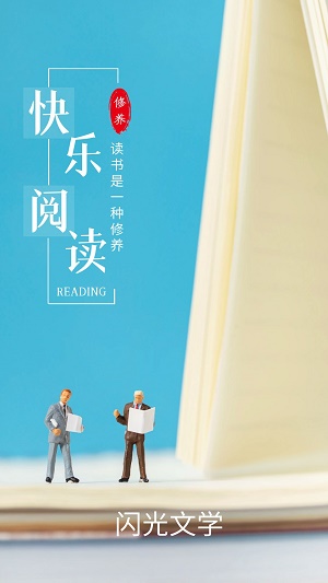 闪光文学破解版