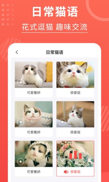 猫猫翻译器  v3.2.5图1