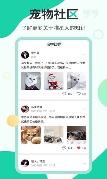 猫语翻译机  v2.6.3图2