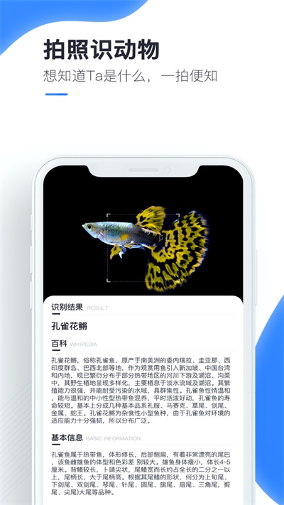 百科扫描王官方版下载安装苹果  v1.0.0图1