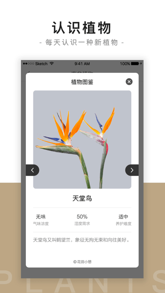 花田小憩  v7.8.0图3