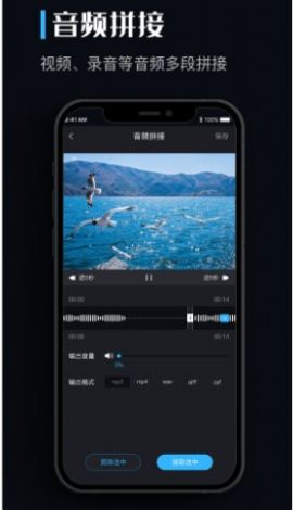 闪电音乐转换器  v1.0.0图2