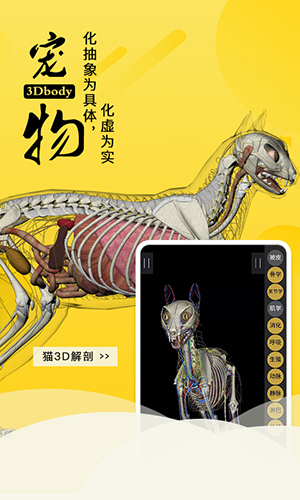 3dbody宠物  v8.7图1