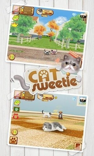 心动小猫  v1.36.2图1