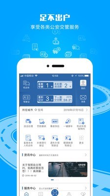 交管12123app官网最新版本下载  v2.4.8图2