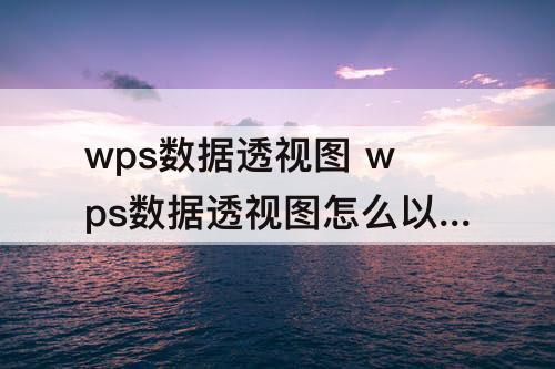 wps数据透视图 wps数据透视图怎么以表格形式显示