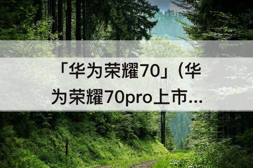 「华为荣耀70」(华为荣耀70pro上市时间和价格)